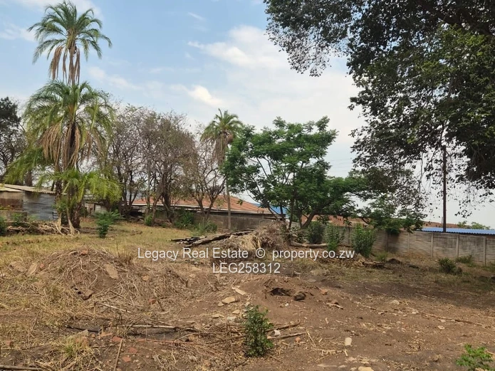 438m² Cold Comfort Stand — Mature Trees & Nearby Development