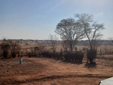 Farm & Agricultural Land