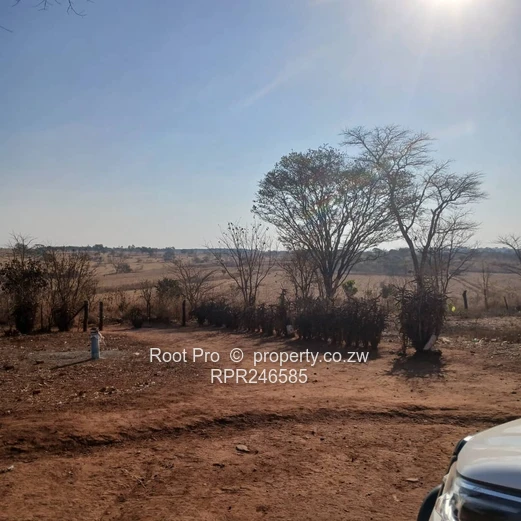Nyabira 50-Hectare Plot For Sale 