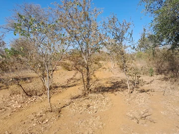 Farm & Agricultural Land