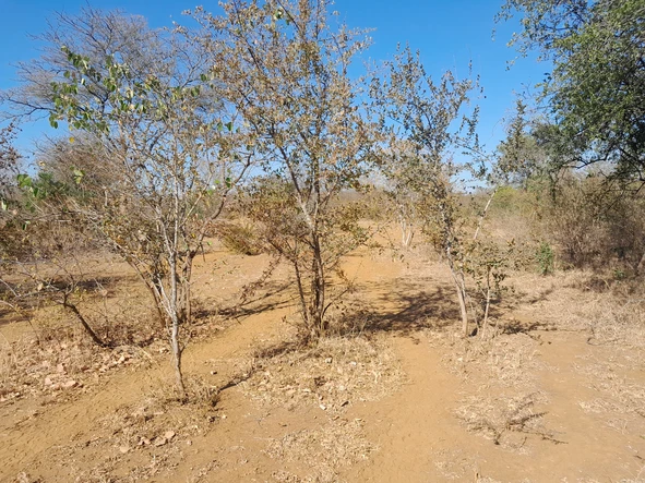 Farm & Agricultural Land
