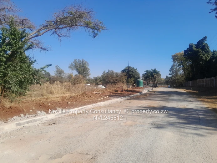 Prime 2000 m² Quinnington Stand — Tarred Roads, Trees