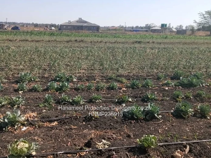 Gweru Lingfield (Sole Mandate)