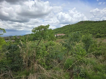 Commercial & Industrial Land