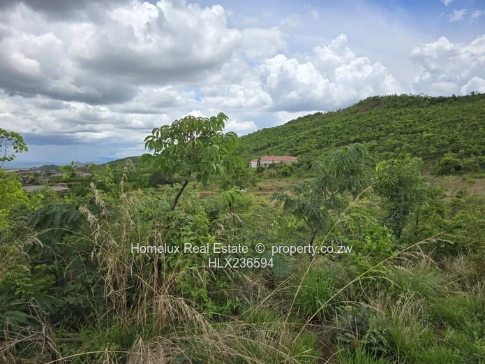 Strategic Heavy Industrial Stand 