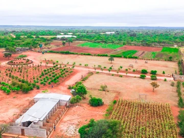 Farm & Agricultural Land