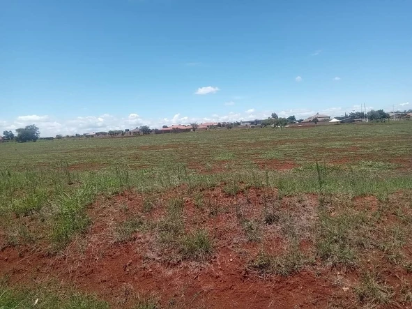 Stands & Residential Land