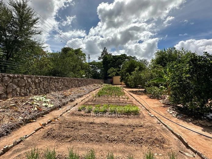 Paradise Found. Your Burnside Oasis Awaits.