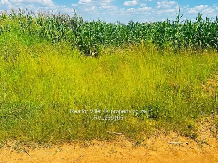 512m² Rydale Ridge Stand 