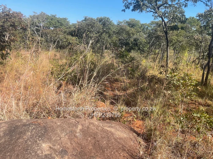 Exclusive Agricultural Land In Marondera For Sale