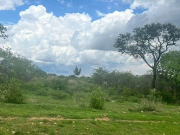 Commercial & Industrial Land