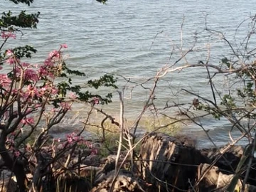 Commercial & Industrial Land