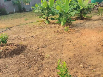 Farm & Agricultural Land