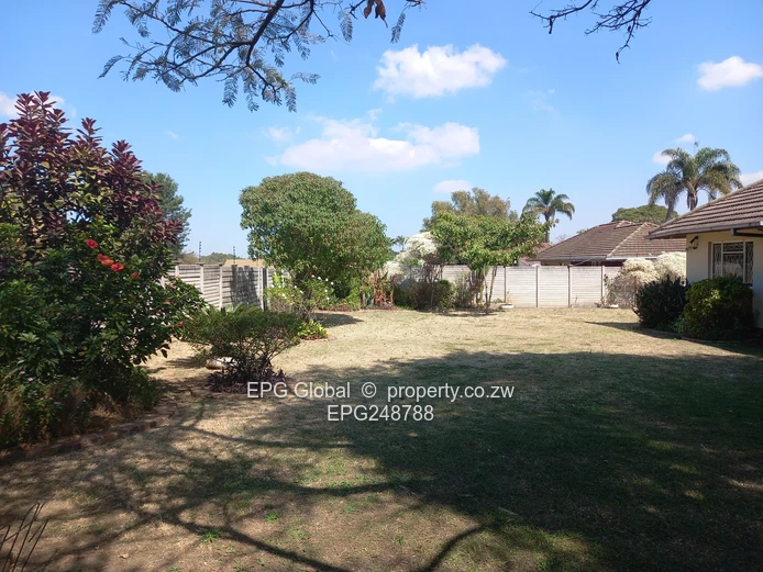 Solid Family house available for letting  
