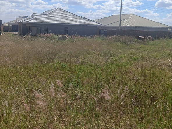 Stands & Residential Land