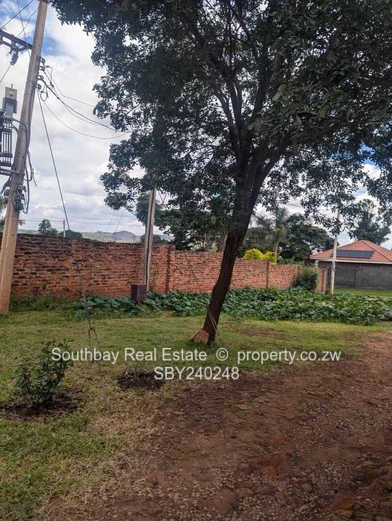 Build your future in Tynwald South