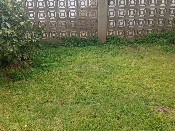 2 Bedroom Flat & Apartment