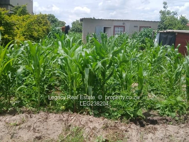 Hot  Deal – Glaudina Marwende Stand For  Quick Sale