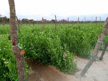 Farm & Agricultural Land