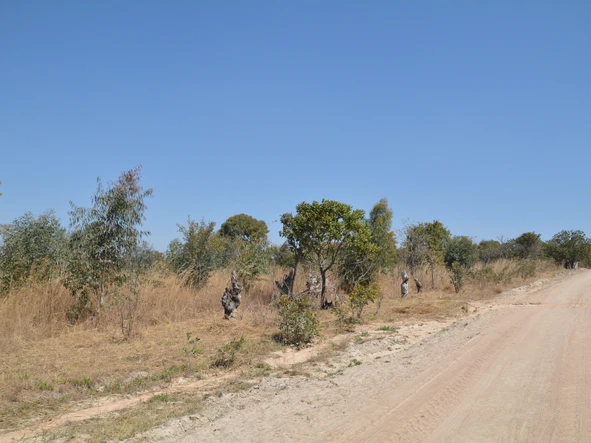 Farm & Agricultural Land