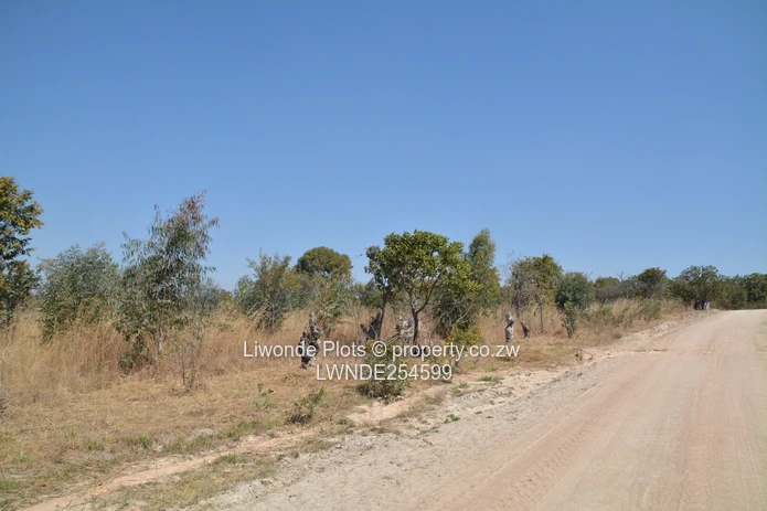 1ha Goromonzi Farm — Arable Field by Gravel Main Road