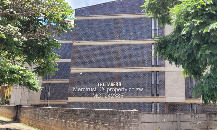 Neat bachelor flat (Sole Mandate)