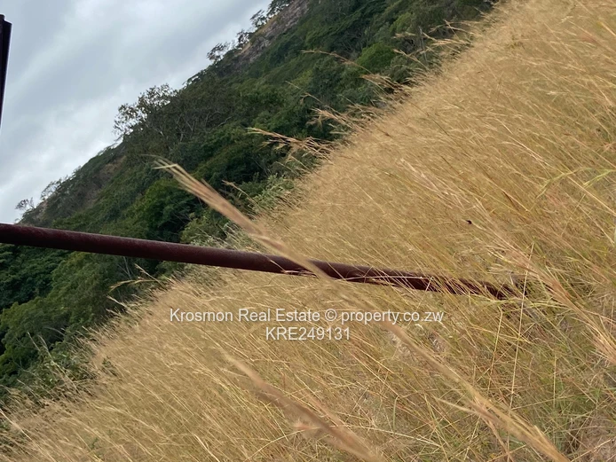 Plot For Sale