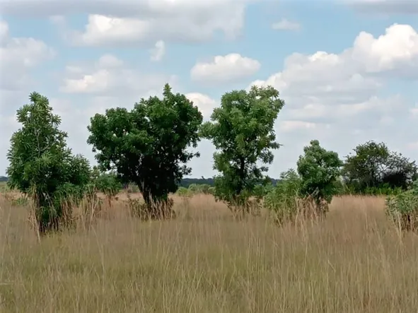 Farm & Agricultural Land
