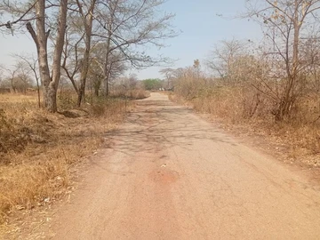 Farm & Agricultural Land