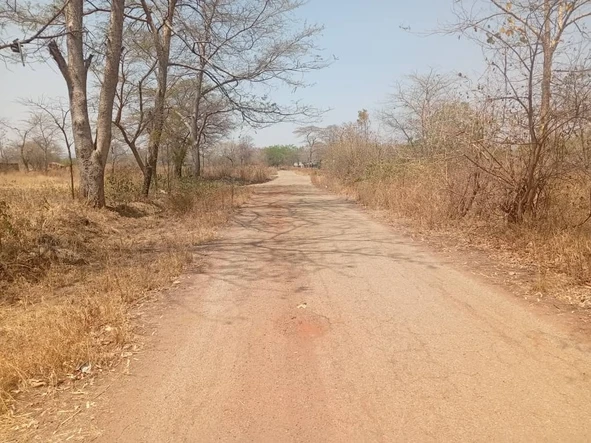 Farm & Agricultural Land