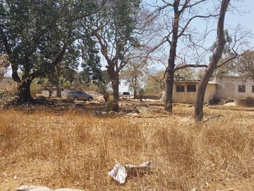 Farm & Agricultural Land