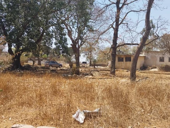 Farm & Agricultural Land