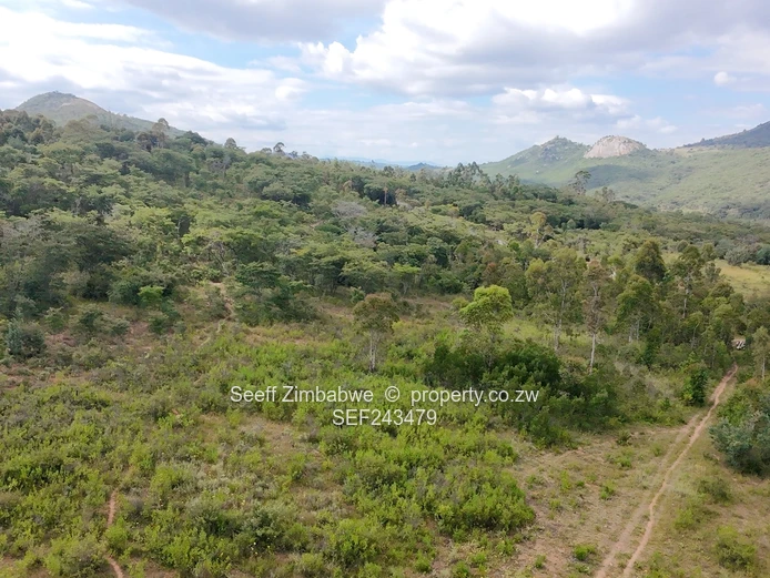 Residential Stand for Sale in Nyanga