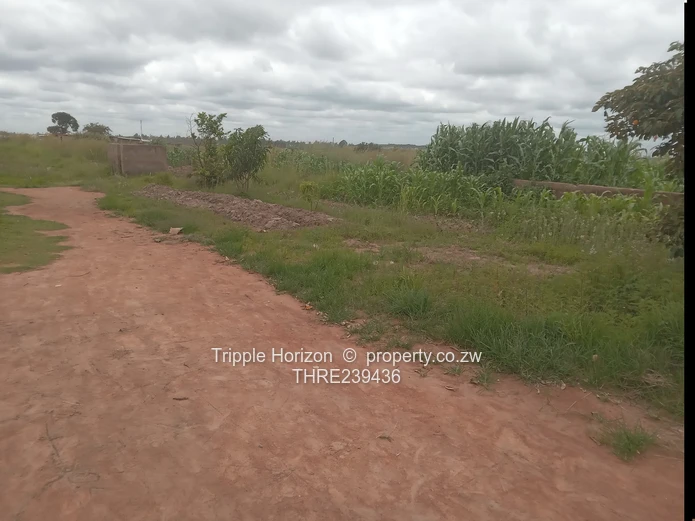 Ridle ridge park stand for sale 1000 square metres 