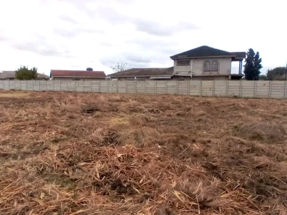 Stands & Residential Land