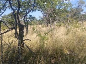 Farm & Agricultural Land