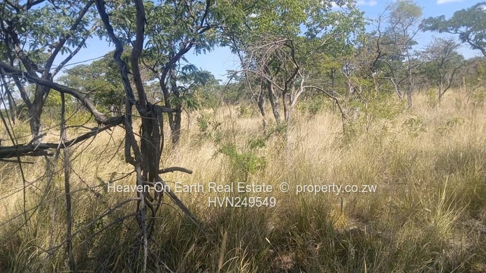 Plots for sale
