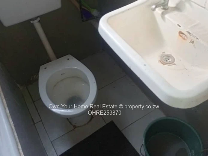 Braeside Cottage For Rent 