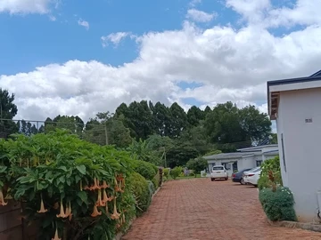 Apartment to Let