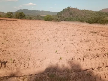 Farm & Agricultural Land