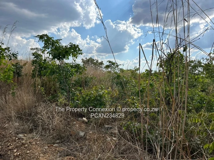 | Best Opportunity to Acquire a Good Investment Home, Buckland Estate |