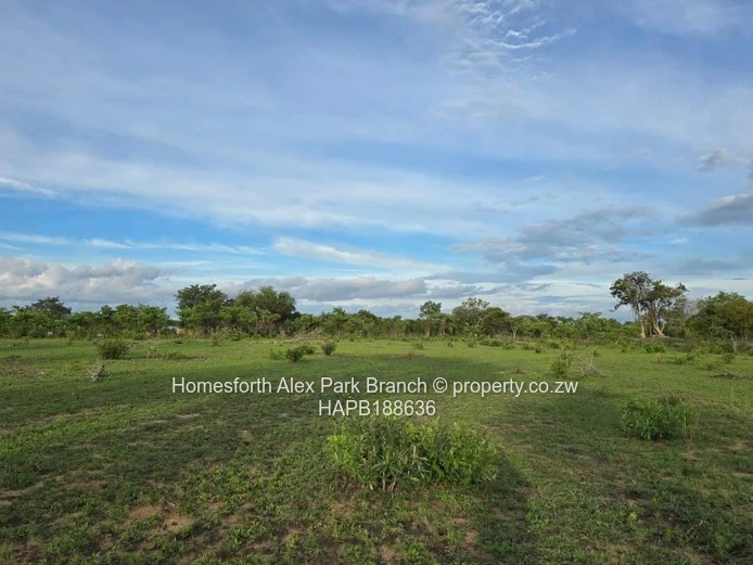 Kadoma Clonmoran Plot 
