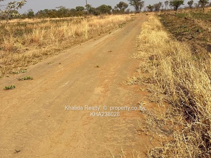 Norton stand for sale