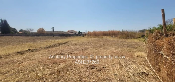 Golden Commercial Opportunity to Establish A Mall & More 