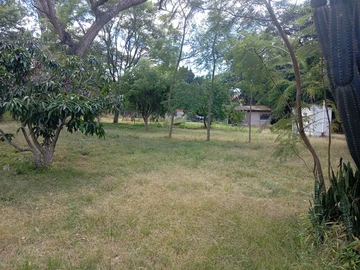 Land