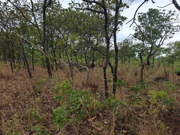 Farm & Agricultural Land