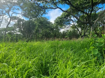 Farm & Agricultural Land