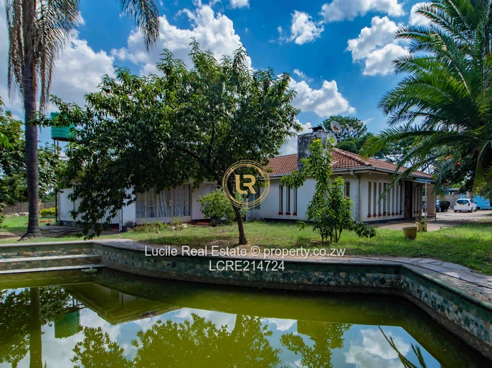 Msasa  - $450K