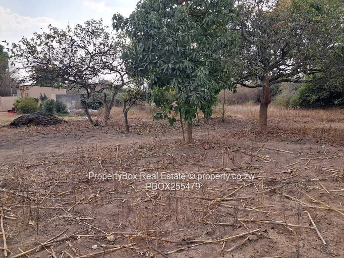 Waterfalls Subdivision Stand for Sale! 
