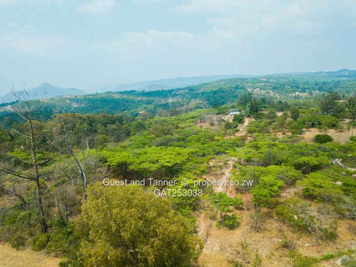Nyanga Residential & Holiday Stands for Sale